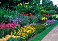 Top 5 Must-Visit Gardens and Arboretums for Nature Enthusiasts